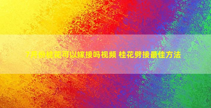 7月份桂花可以嫁接吗视频 桂花劈接最佳方法